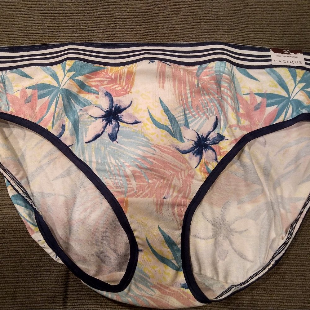 Cacique 26/28 (4X) Cotton Hipster Panty